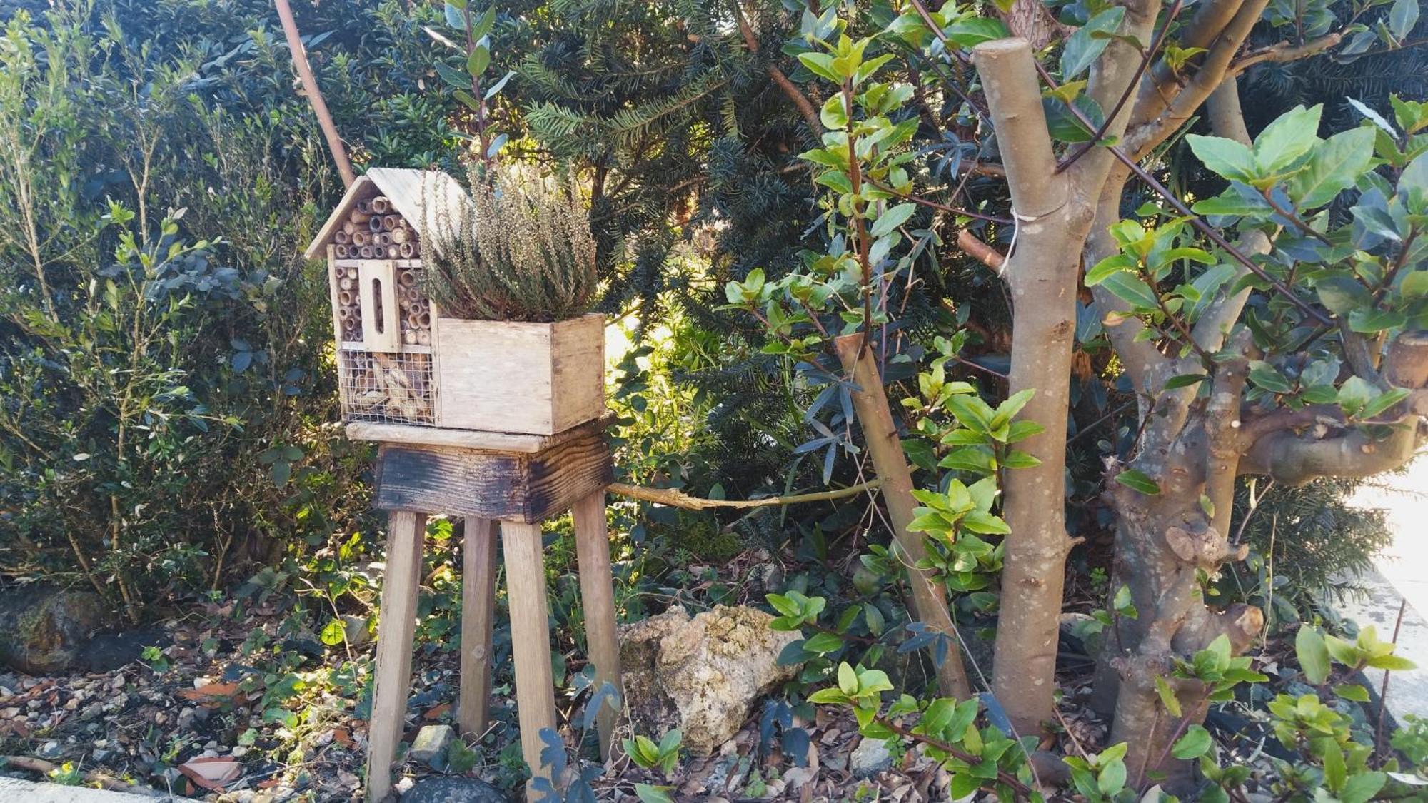 Casa Iriana - Parking Gratis I Jardin I Barbacoa Βίλα Ουρένσε Εξωτερικό φωτογραφία